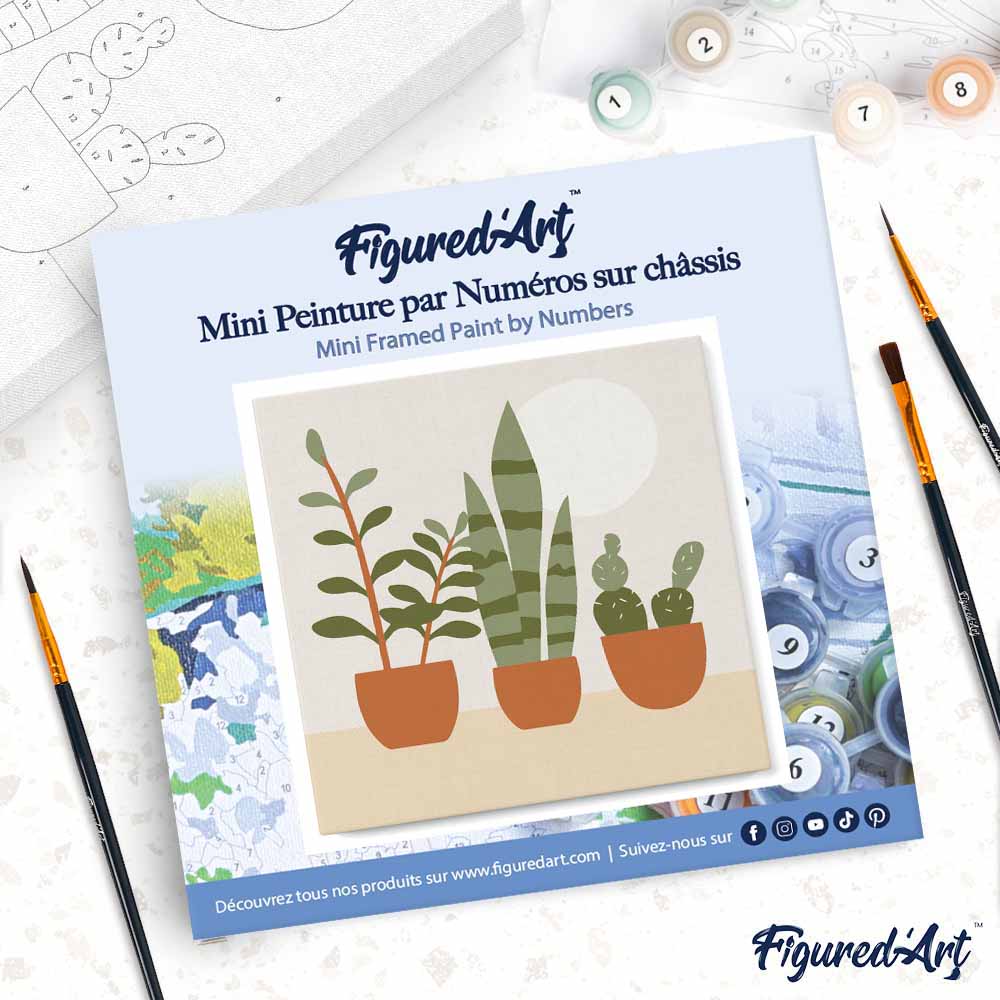 Mini Paint by numbers 8"x8" framed - Three plant pots - Image 4